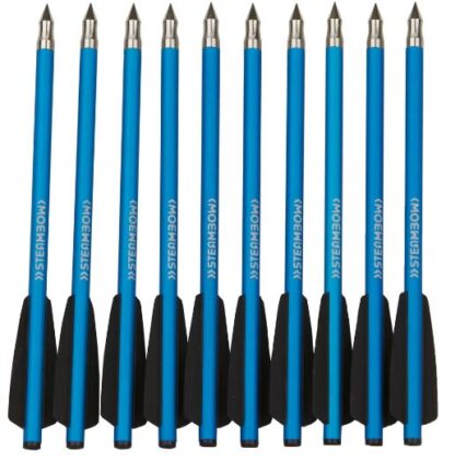 Steambow AR-Series Target Arrows - Set of 10 Pcs